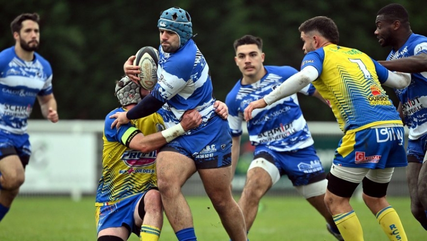 Tournefeuille. Le rugby se fait littéraire autour des mots